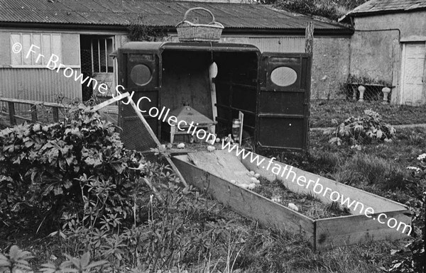 OLD VAN AS CHICKEN HOUSE